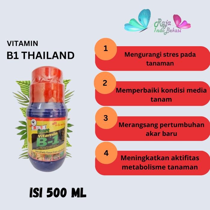 ern Ori Thailand B1 Fuji Star 500 Ml Liquinox Stres Vitamin B1 Obat Anti