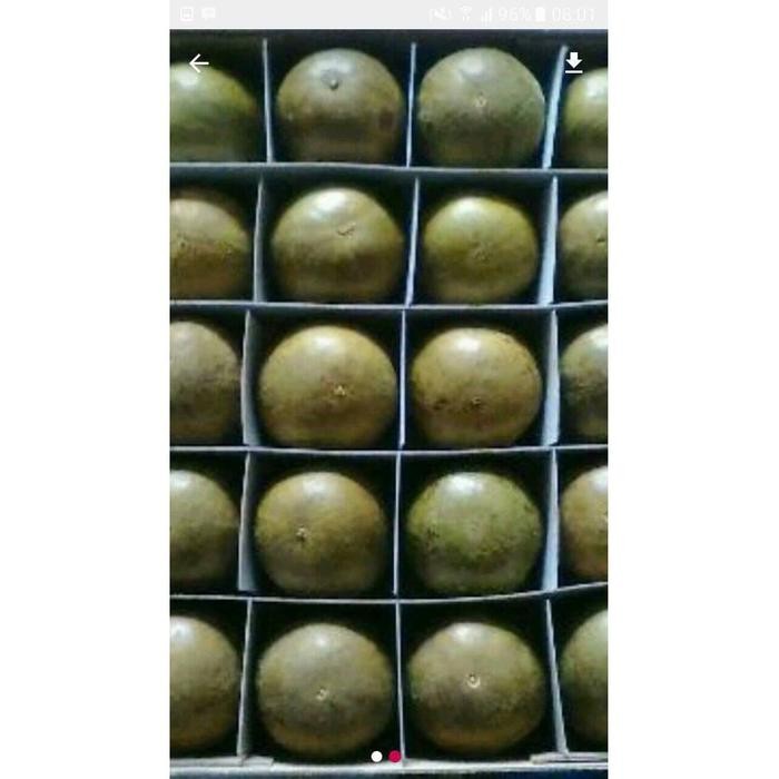 

New Lou han ko buah sedang