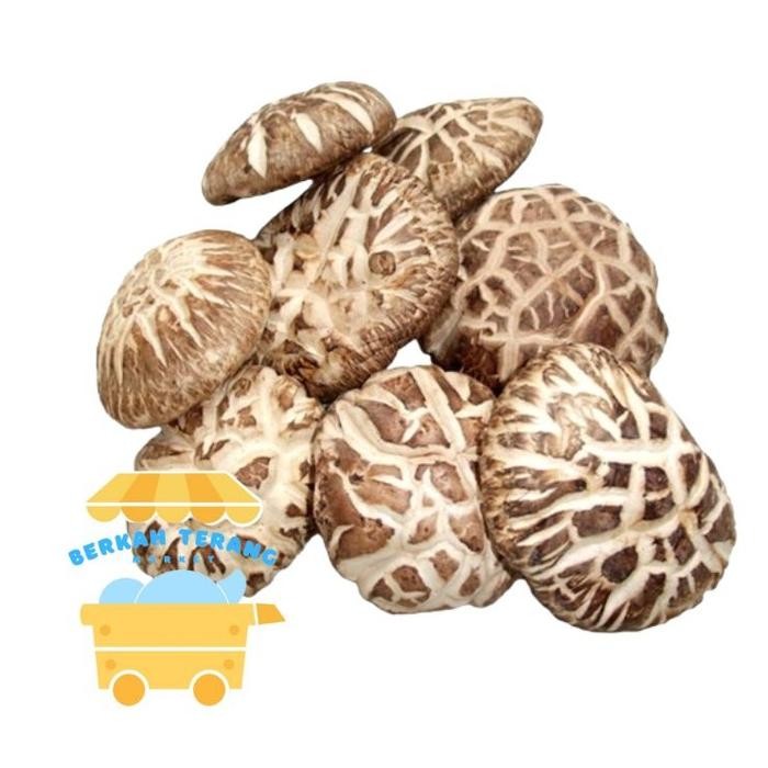 

PREMIUM Jamur Shitake Sioko Hioko Siongku 100gr 50gr - Kering dan Tahan Lama - Food