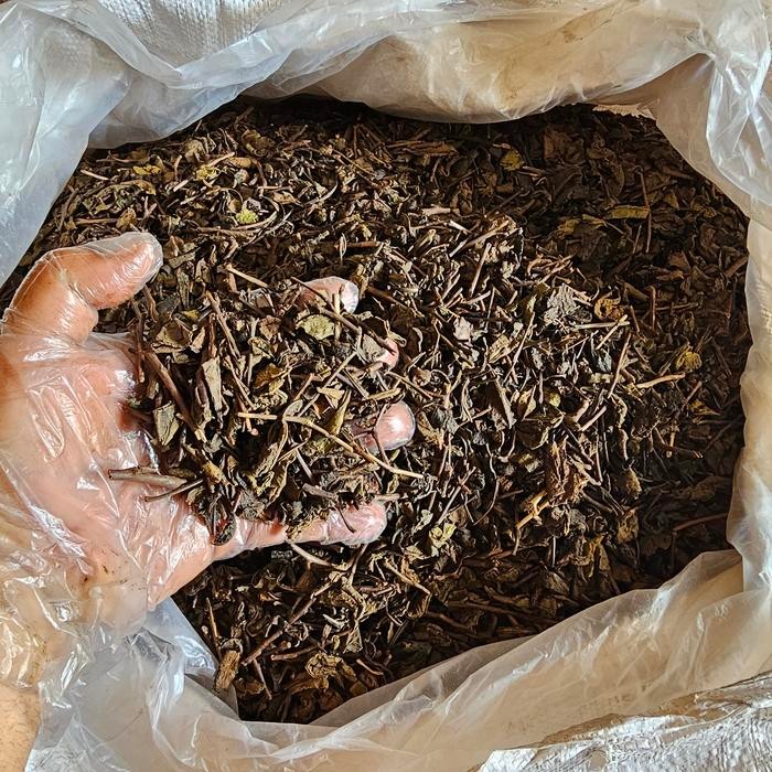 

PREMIUM Teh Hitam - Black Tea - Daun Teh Hitam Kering Asli dan Alami