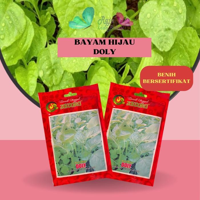 [Sp] Bekasi Isi 50 Gram Benih Unggul Bibit Bayam Hijau Doly Produk Asli Jawara