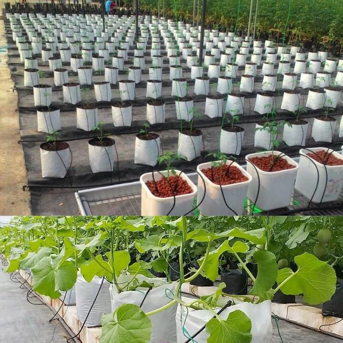 [Sp] Grosir 1Kg Polybag 40X40 Putih Tebal Polibek Polibag Tanaman 40 Cm