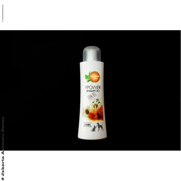 Jual [READY] Jual ARIES YPOWER SHAMPOO 250 ML #Murah
