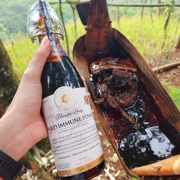 

Wild Immune Power - Powerful Immune Booster / 100% Madu Hutan Asli