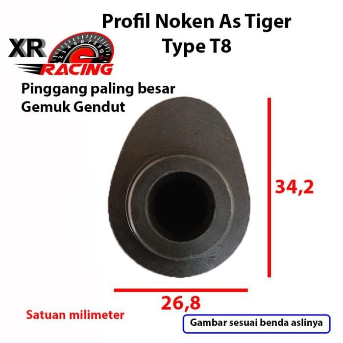 (Allthebest) Noken As Racing Tiger XR T8 dan RRA Tiger PNP Tiger Megapro GL