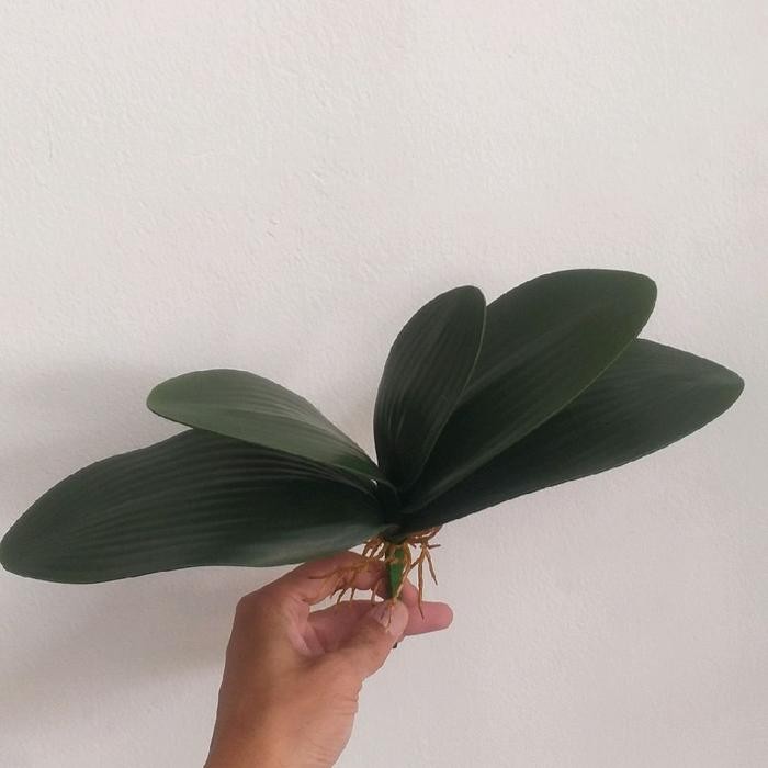 kehi Daun Anggrek latex besar cabang 5 / Daun anggrek palsu