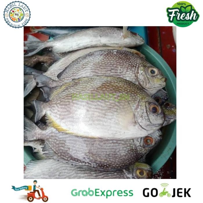 

Ikan baronang segar 1 Kg