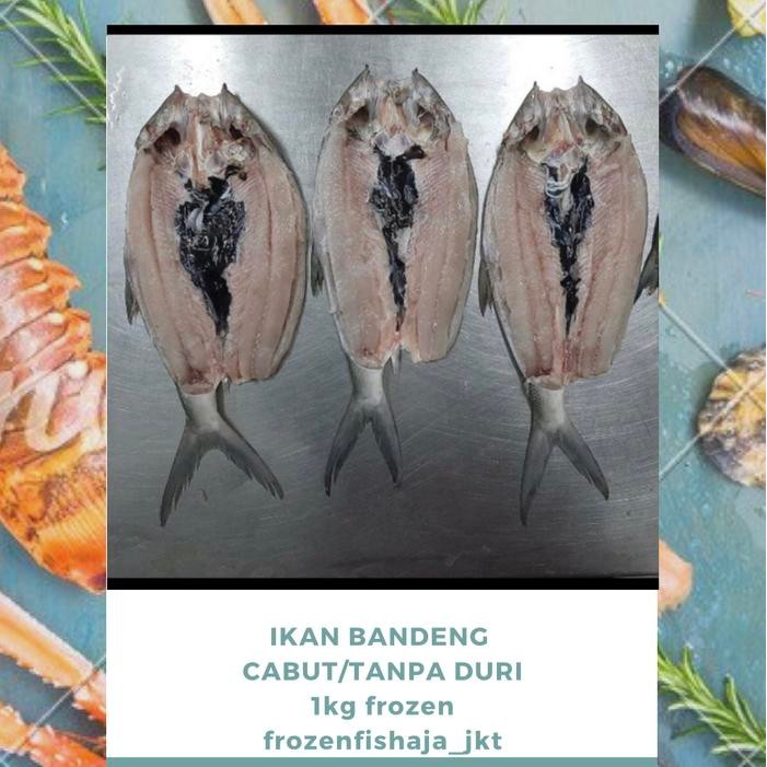 

IKAN BANDENG/ IKAN BANDENG TANPA DURI/ IKAN BANDENG CABUT DURI/ 1KG
