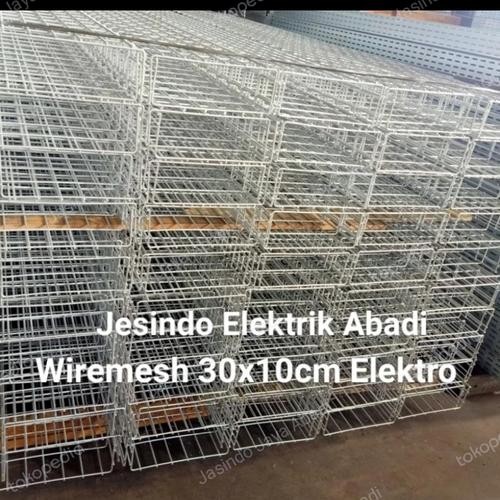 tray wiremesh / cable cage / BRC 300 X 100 mm Electro Galvanis