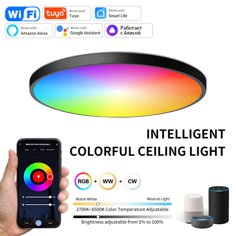 Tuya WiFi Smart Ceiling Light 220V RGBCW WW LED Ceiling Lamp Work