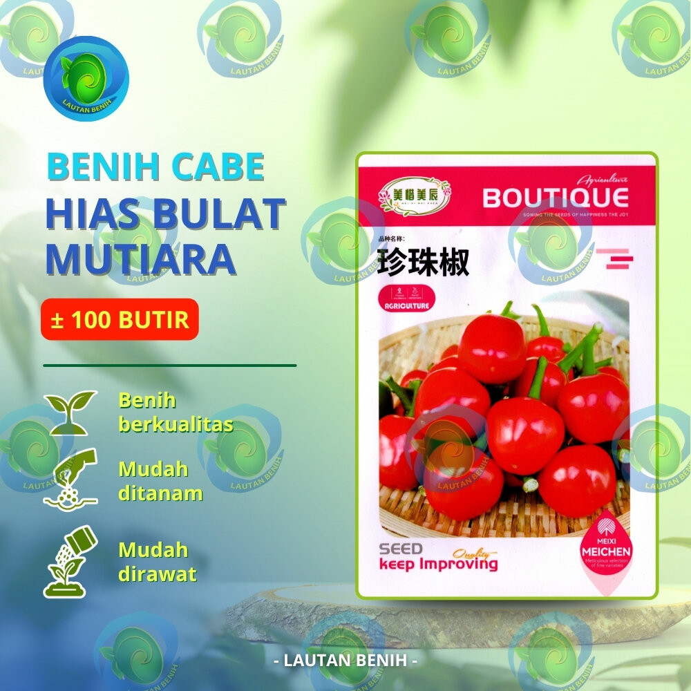 ± 100 BUTIR BENIH CABE HIAS BULAT MUTIARA KEMASAN PABRIK IMPORT