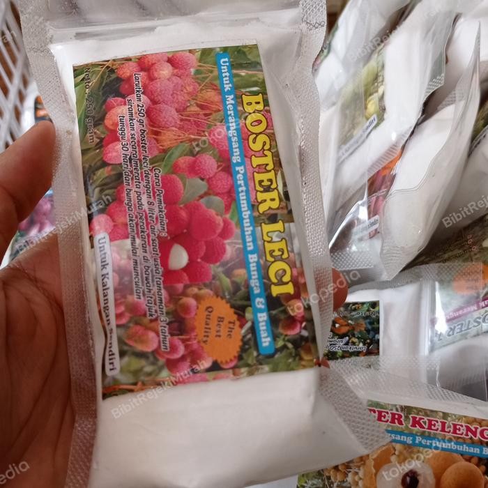 Booster Buah Leci Merah Untuk Mempercepat Pembuahan