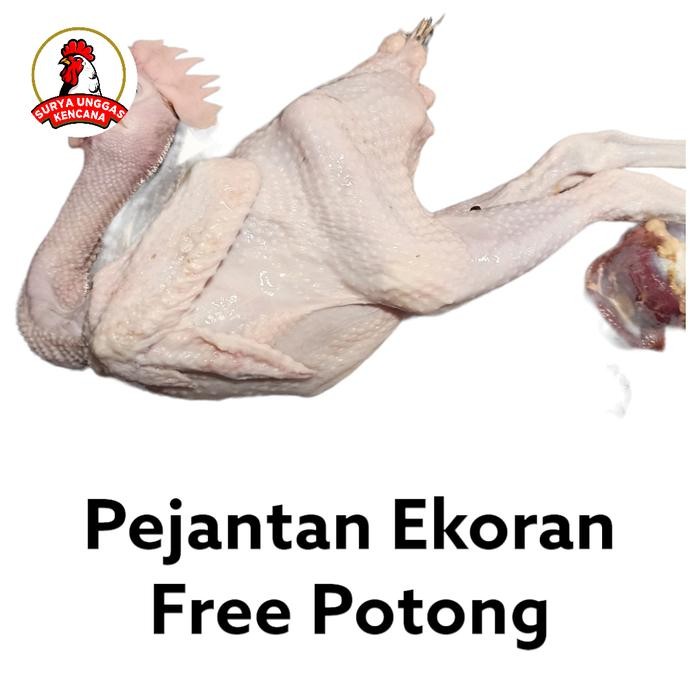 

Ayam Pejantan/blaster 600-700gram ,untuk goreng Bumbu kuning