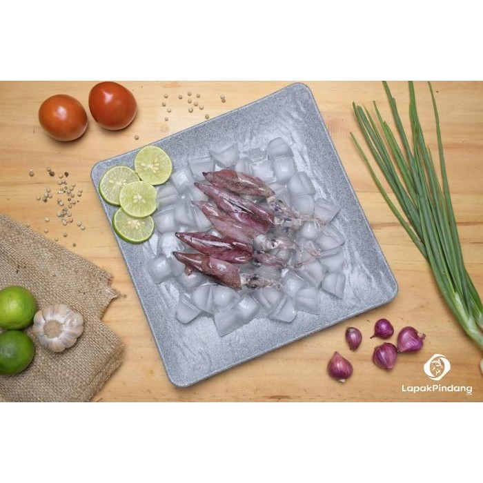 (Allthebest) Frozen cumi segar premium