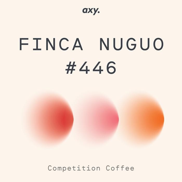 

PANAMA GEISHA NATURAL - BIJI KOPI ARABIKA