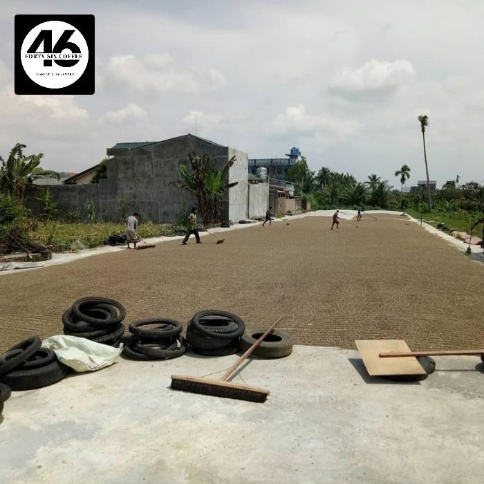 

GREEN BEAN ARABIKA SEMIWASH SUMATRA MANDHELING GRADE 1