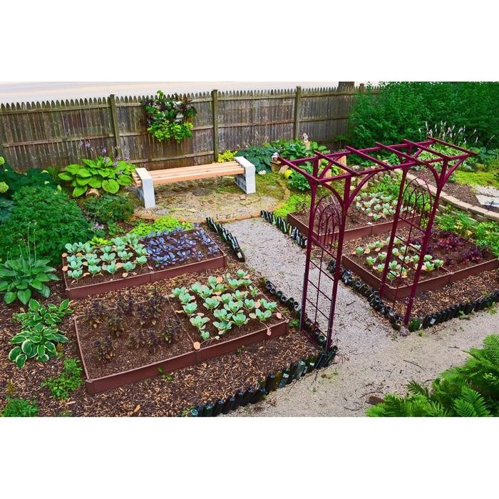 Bibit Sayuran Benih Sayur Lengkap Unggul Bibit Hidroponik