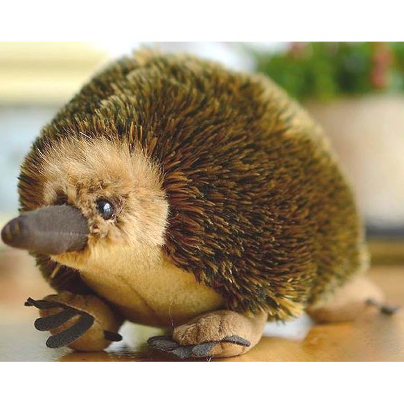 Echidna High Fidelity Anime Cute Mole Plushie Spiny Anteater Plush Toys Lifelike Animals Simulation 