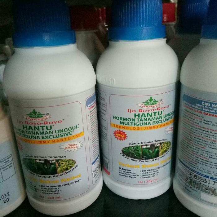 

pupuk hantu hormon tanaman unggul