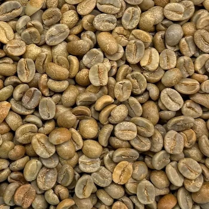 PANAMA ESMERALDA DIAMOND MOUNTAIN 24 GREEN BEANS