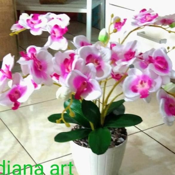 set anggrek hias#anggrek #bunga plastik
