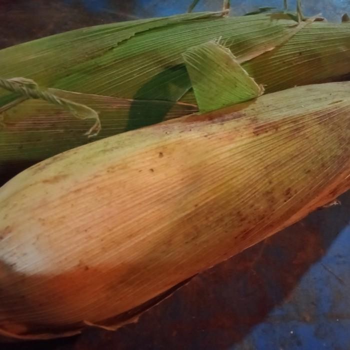 

(Allthebest) Jagung Manis pake Kulit 1 kg