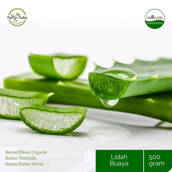 

Pay 2 Get 3 Lidah Buaya Organik Bsp Farm 500Gr