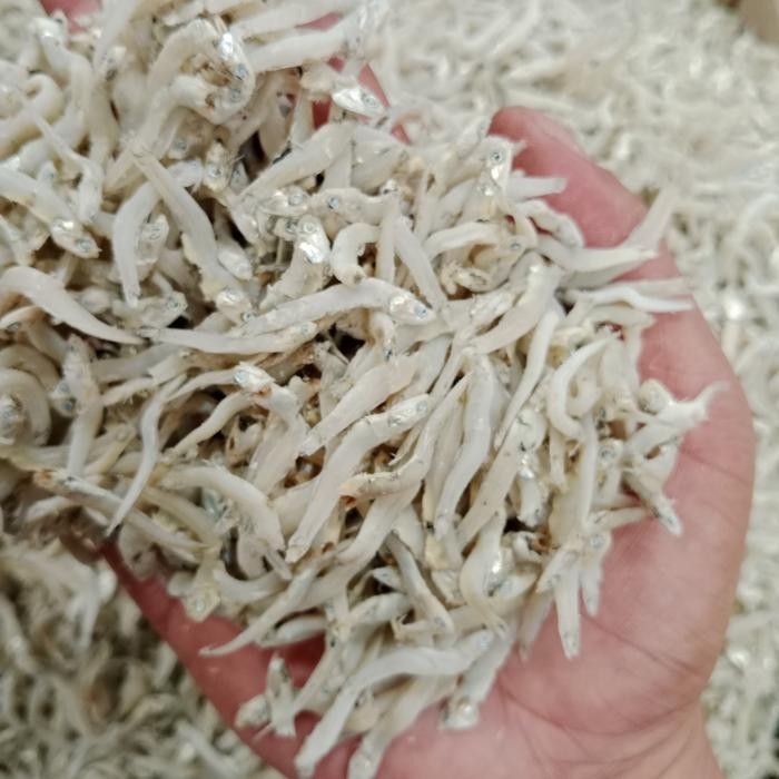 

Ikan Asin Teri Buntio 1 Kg Fresh.