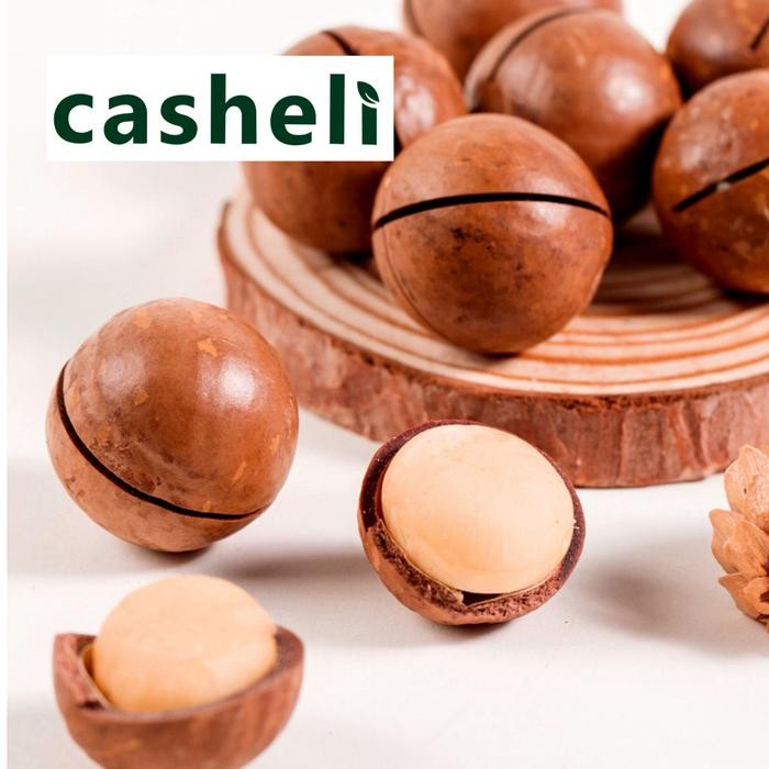 

Macadamia Nuts In Shell Besar Panggang 1Kg Kacang Macadamia Kulit