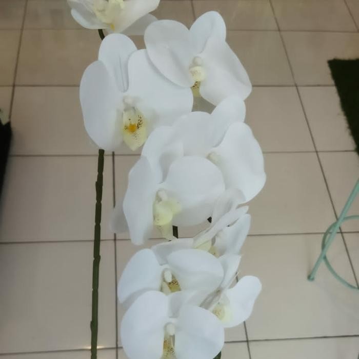BEST SELLER Anggrek latex putih / Anggrek bulan putih / Bunga anggrek artificial