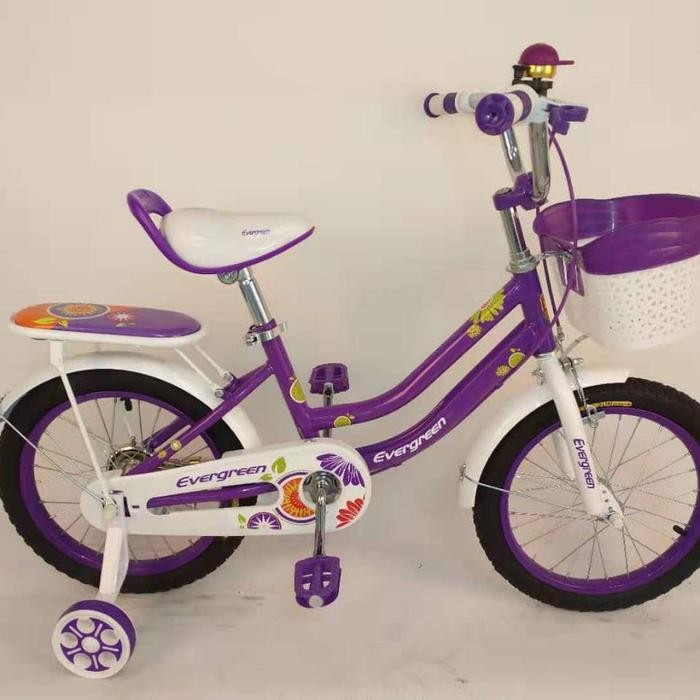 Sepeda Anak Evergreen 16 Inch Daisy