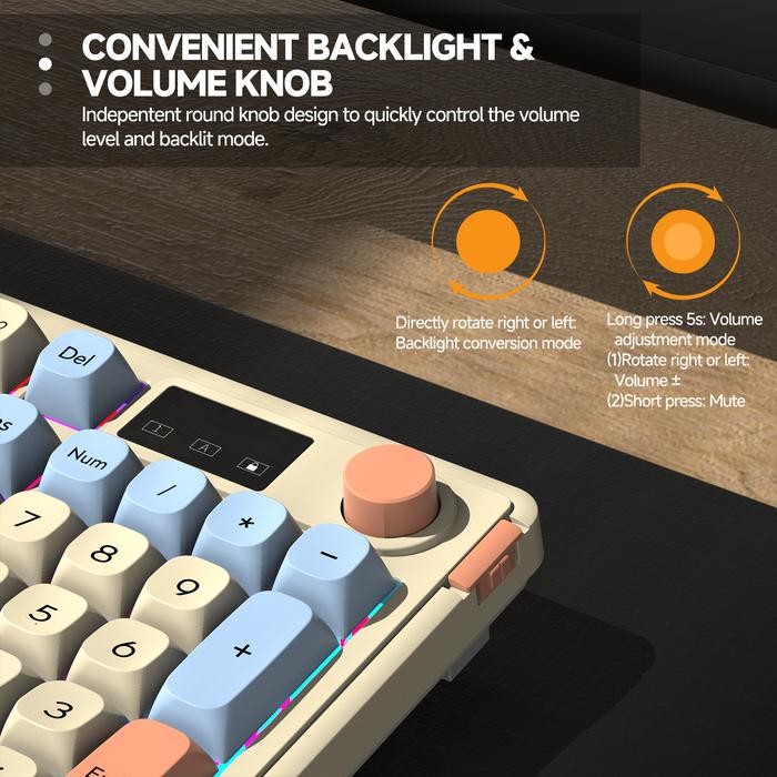 Meanical Keyboard Wired 98 Keys RGB Backlight Keyboard Gang Keyboard Silent Keypad for Laptop PC