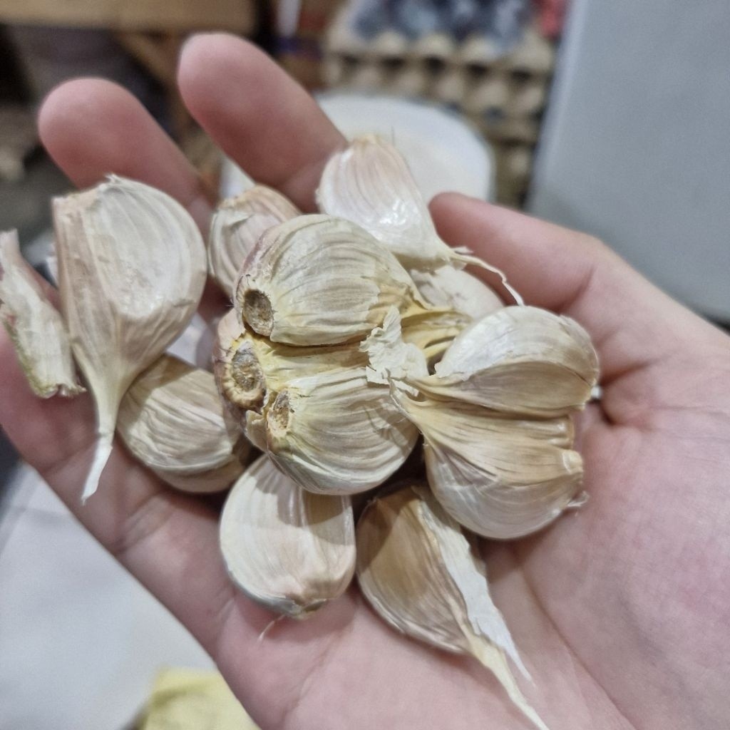 

Bawang PUTIH KATING BERSIH 500 GRAM / Bawang Putih Kating Super / Bawang Kating Kupas Bersih / Bawang Kating Mentah 500g / Garlic Kating Premium