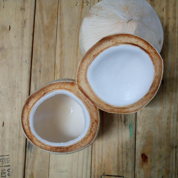 

FyZ Puding Kelapa muda batok