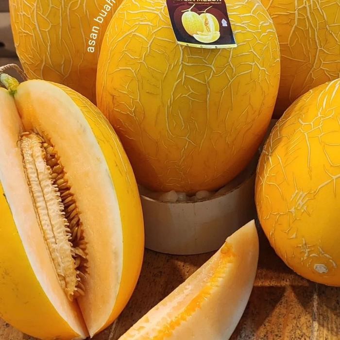 

Glx Melon hamikua melon madu