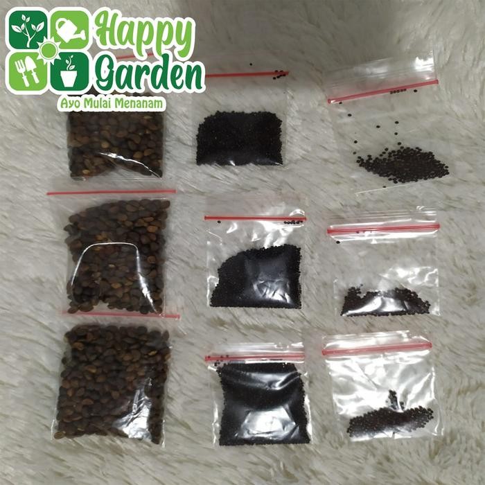 TERLARIS PAKET BIBIT TANAMAN SAYUR HIDROPONIK LENGKAP