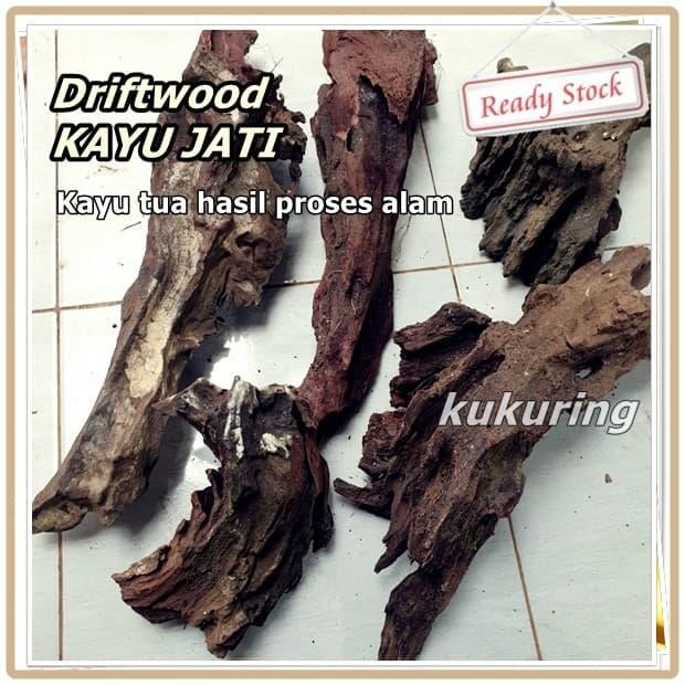 

[Fresh] Driftwood - Kayu Tua - Hiasan Aquarium Aquascape - Paludarium dll