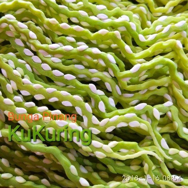 

[Fresh] BUNGA PINANG ATAU JAMBE SEGAR