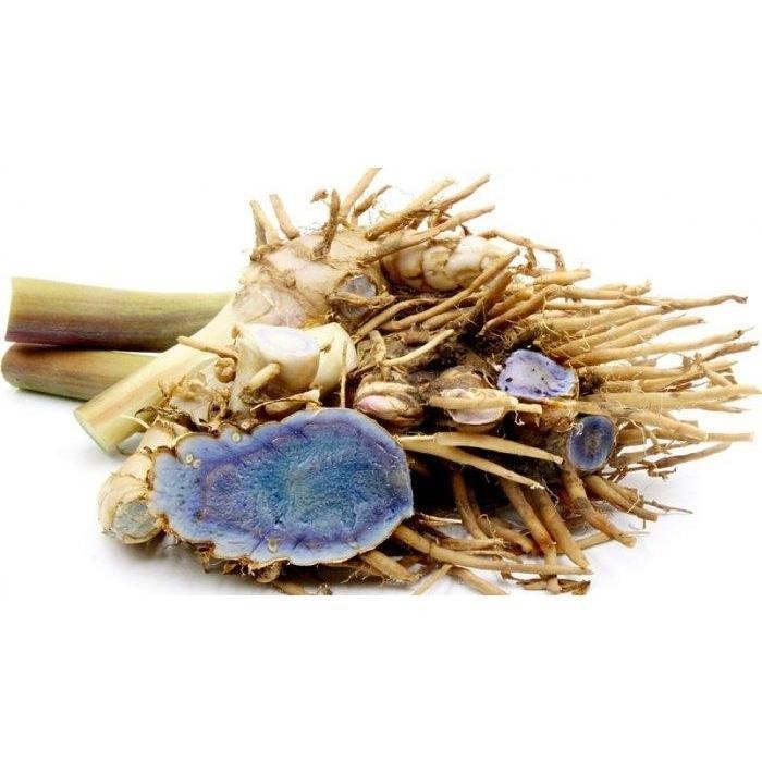 

[Fresh] Temu Hitam Segar 1kg Ireng Bangle Kunyit Hitam