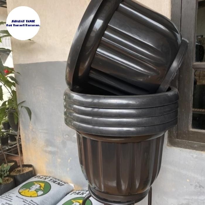 pot plastik besar 50 cm - pot eboni 50 hitam