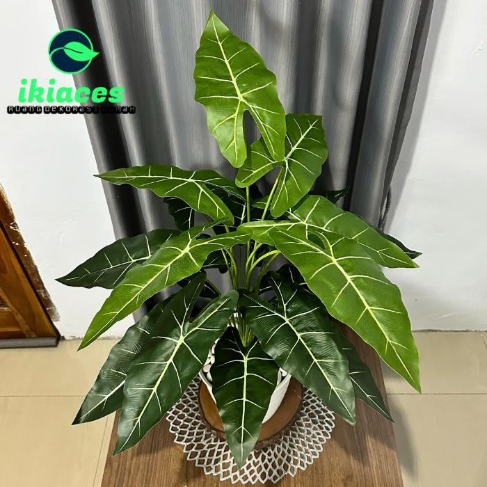 DAUN KELADI PLASTIK JUMBO DAUN CALADIUM ARTIFISIAL TANAMAN HIAS PLASTIK BUNGA HIAS SUDUT RUMAH