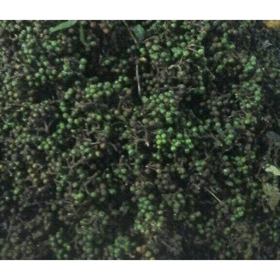 

New Andaliman 250 gram