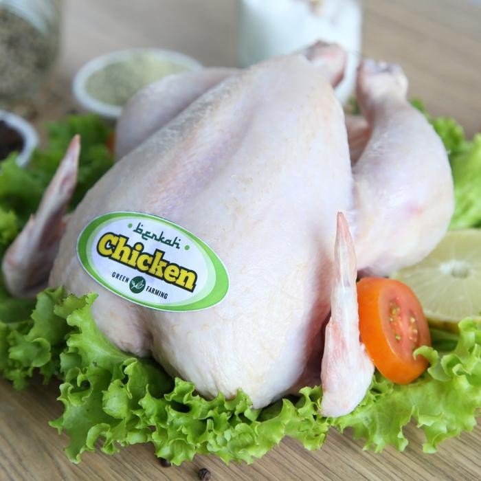 

New Ayam Probiotik Berkah Chicken Organik 800-900 gram, Utuh