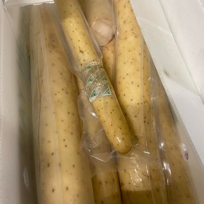 

Talas cina 1 kg talas impor