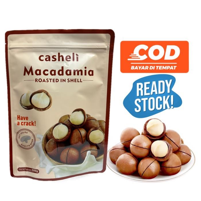

Macadamia Nuts in Shell Besar Panggang 1KG Kacang Macadamia Kulit
