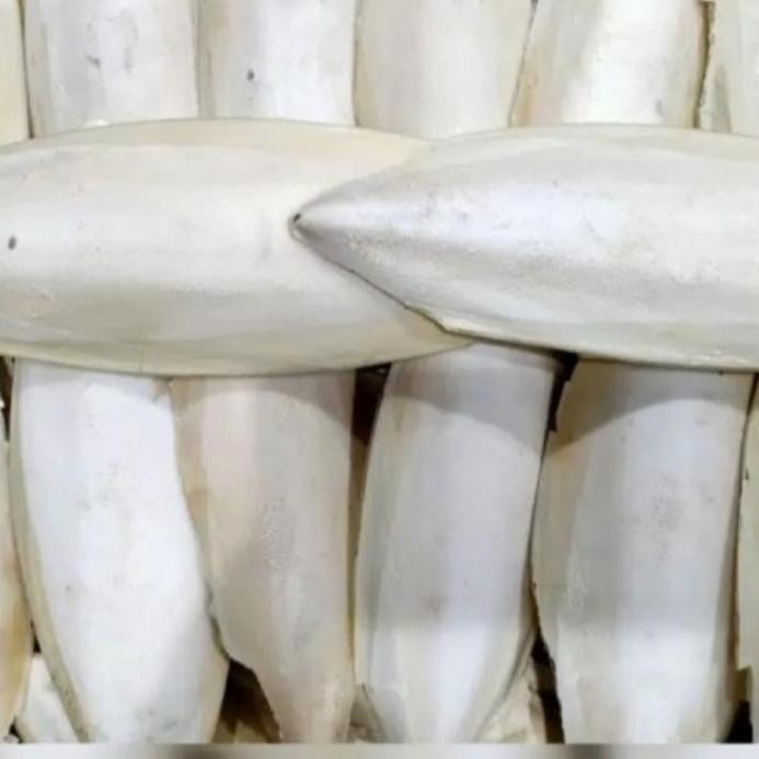 sotong 1kg tulang sotong suntung kering makanan burung lovebird perkut