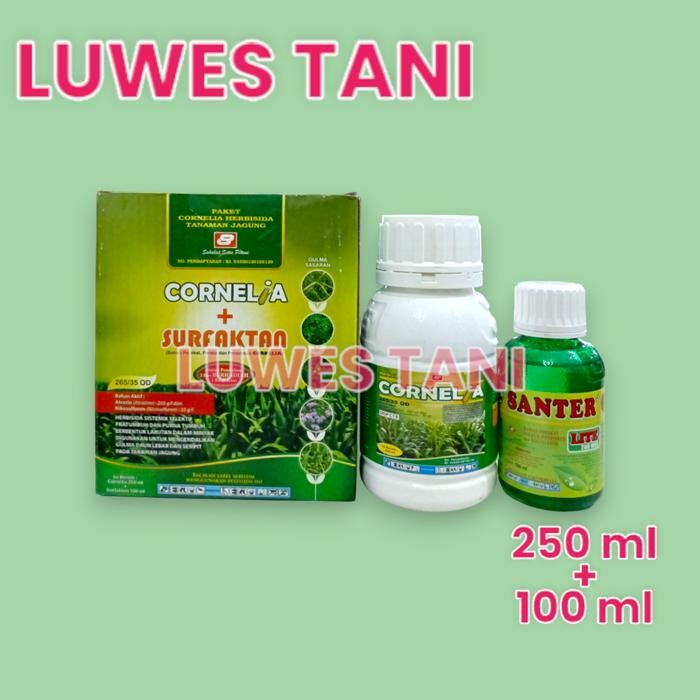Cornelia (Kecil) 250Ml Herbisida Selektif Jagung