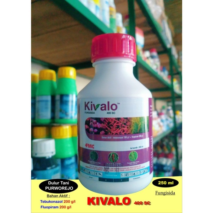 Fungisida Kivalo 250 Ml Bahan Aktif Tebukonazol 200 G/L + Fluopiram 20