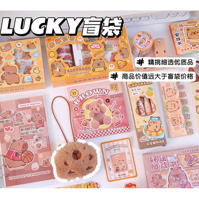 

Blind box alat tulis motif lucu