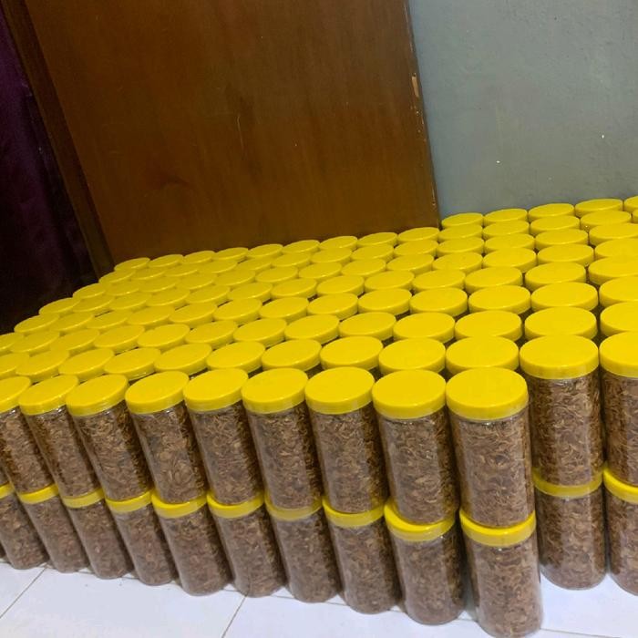 

Bramgor putri mangu by BBG S-A 300 gram